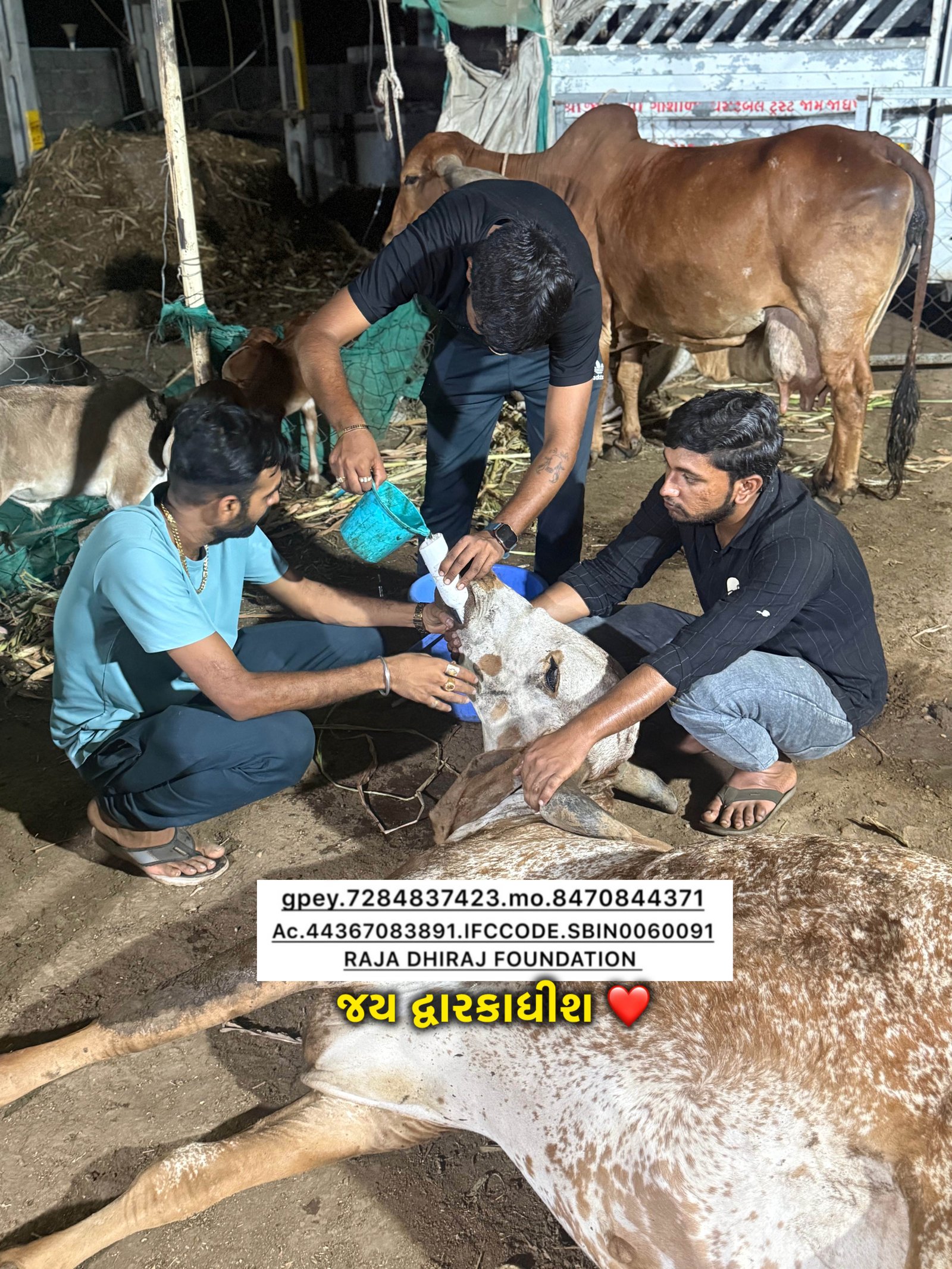 સ્વયંસેવક સેવા