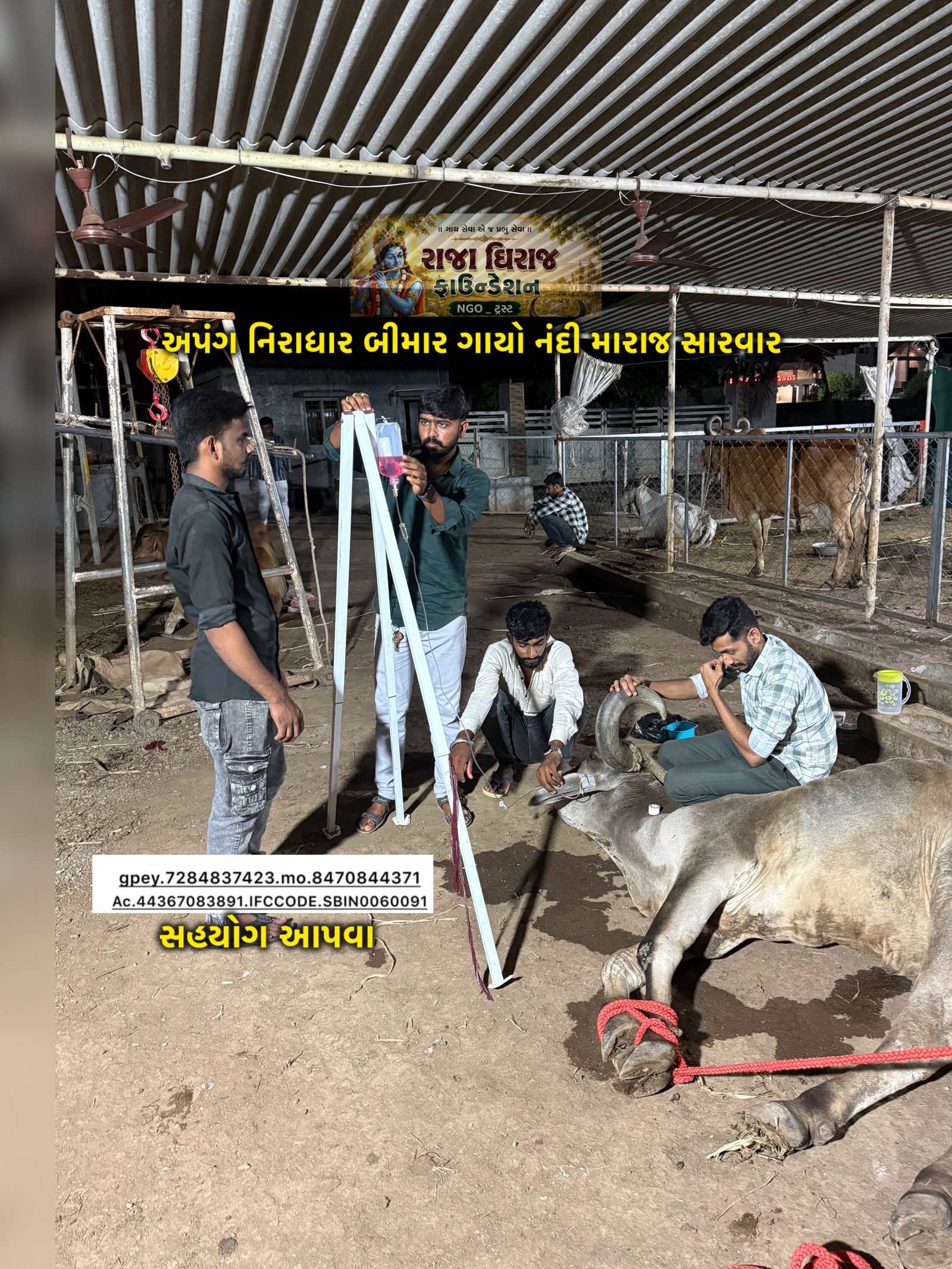 ઇમરજન્સી મદદ