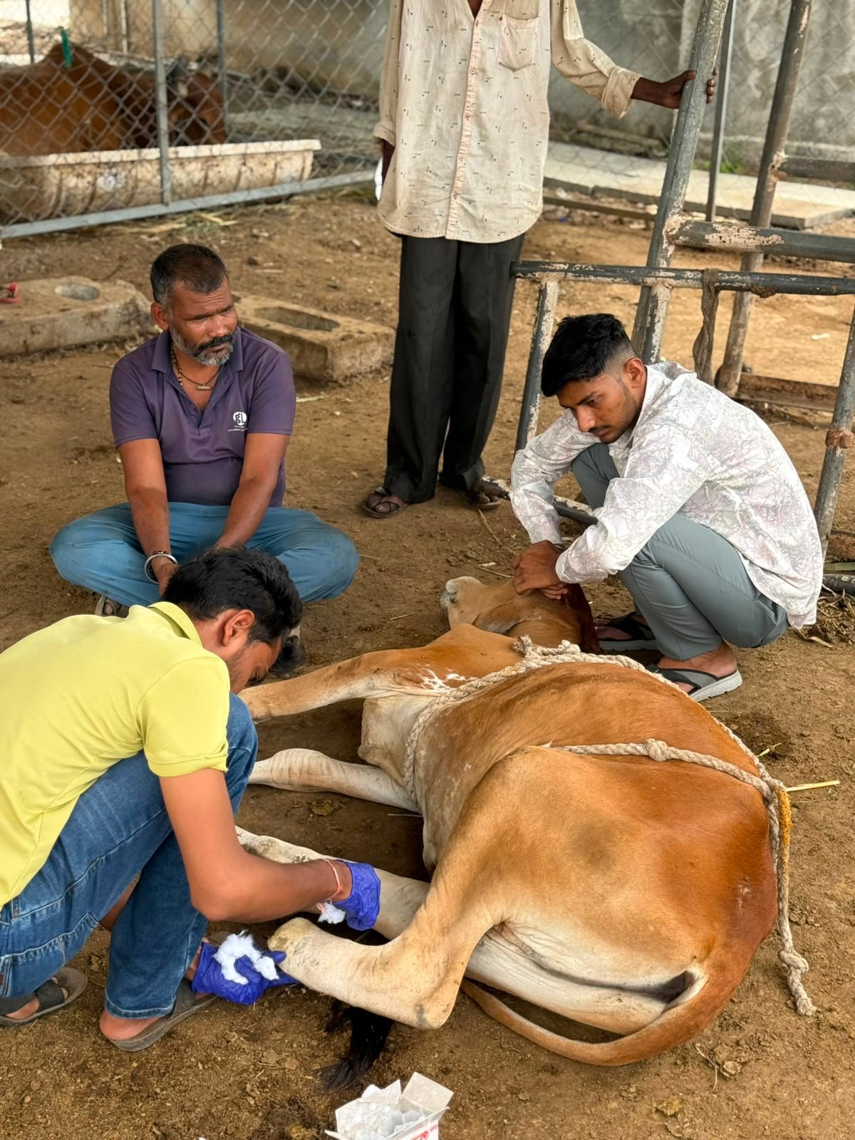 રાજાધિરાજ ફાઉન્ડેશન ટીમ સભ્ય 3