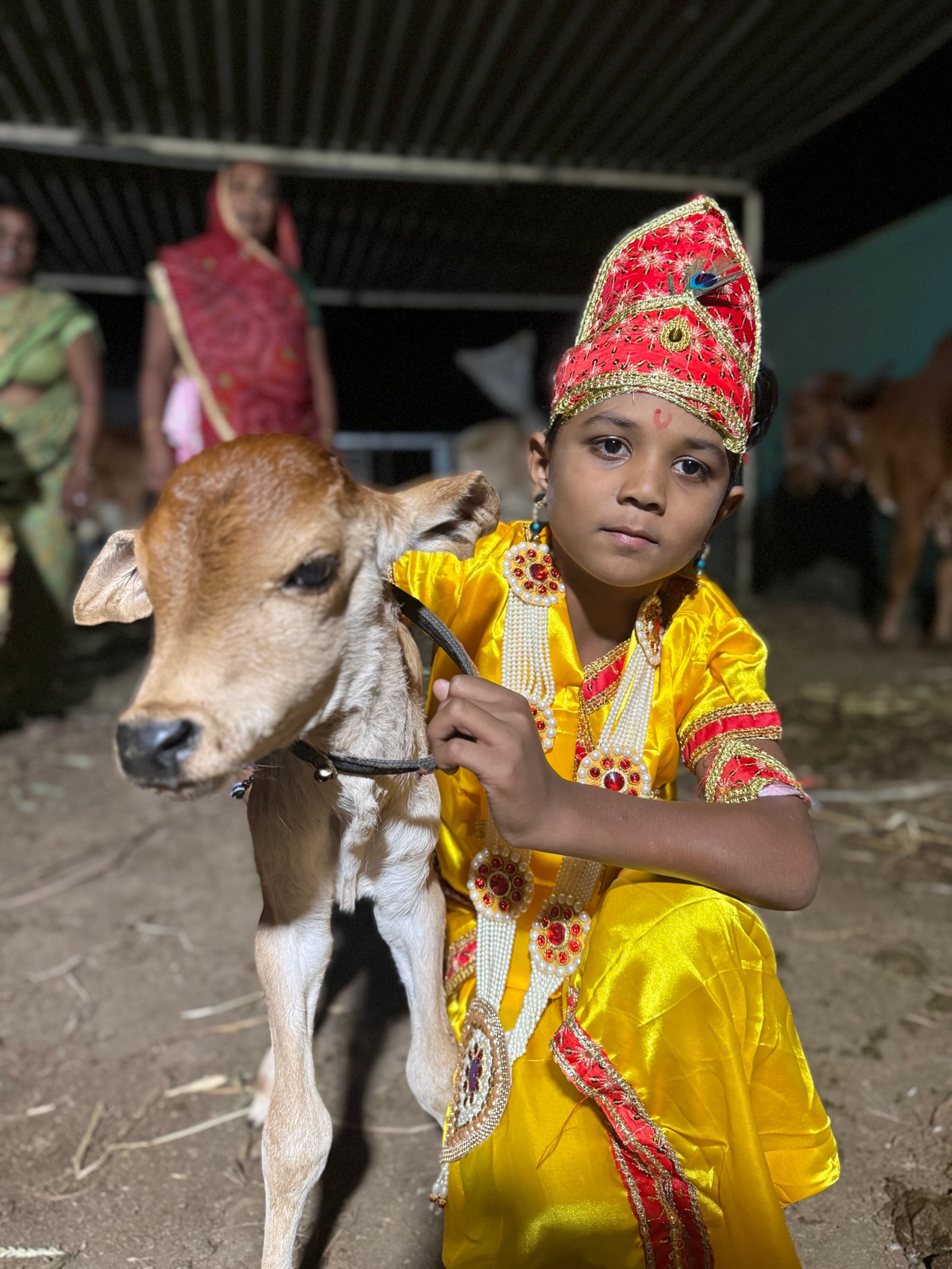 અમારી ગૌશાળા અને ગૌસેવા