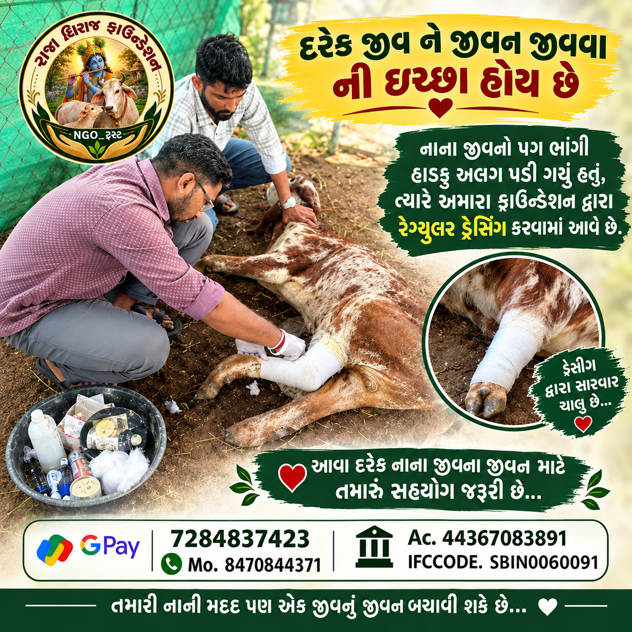 અમારી ગૌશાળા અને ગૌસેવા